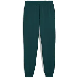 Puma ESS No.1 Logo Sweatpants FL cl (s)