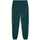 Puma ESS No.1 Logo Sweatpants FL cl (s)