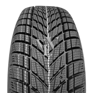 225/40 R19 93W XL