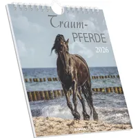 Neumann Traumpferde 2026 - Postkartenkalender 16x17 cm - Horses
