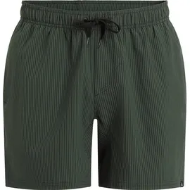 Firefly Badehose Ken IV Grün XL