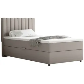 panda möbel EVEREST 100 x 200 cm Beige