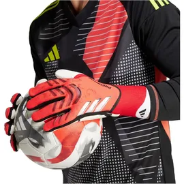 Adidas Predator Pro Torwarthandschuhe - Lucid Red / Black / Pure Ruby - 6