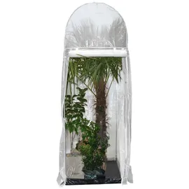 Videx Winterschutz Frost-Schutzhaus PALM PROTECT 250 x 100 x 100 cm, transparent