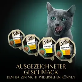 Sheba Multipack Geflügel Variation in Sauce 12 x 85 g