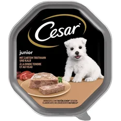 CESAR Junior 150 g Schale Puten- und Kalbfleischpastete für Welpen