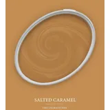 A.S. Création Wandfarbe Salted Caramel Orange matt 2,5 l