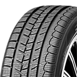 Roadstone Eurovis Alpine WH1 205/60 R16 92H
