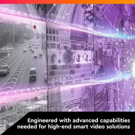 Western Digital Purple Pro 10 TB 3,5" WD101PURP