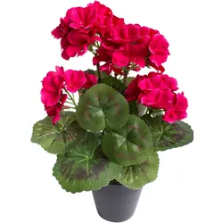 Kunstblume BOTANIC-HAUS "Geranienbusch mit 6 Blütenköpfen", bunt (beauty), B:22cm H:30cm T:22cm Ø:22cm, Kunststoff, Kunstpflanzen