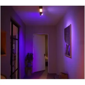 Philips Hue White & Color Ambiance Centris Spot 2-flg. schwarz