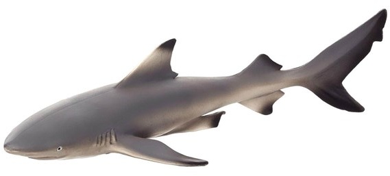 Sealife Blacktip Reef Shark 387357