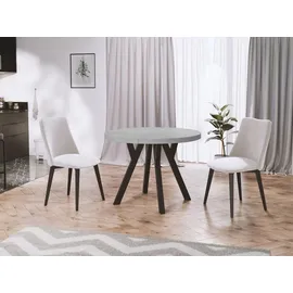 pphu meblokar karol wierczyski Designer runder ausziehbarer Esstisch 100 x 76 x 100 cm grau