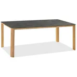 Niehoff Revalto Gartentisch 220 x 95 x 76 cm Grau