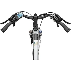 Telefunken XC941 Expedition 28 Zoll RH 52 cm weiß