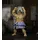Jada Ultra Street Fighter II: The Final Challengers Actionfigur E. Honda 16 cm