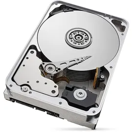 Seagate SkyHawk AI 12 TB 3,5" ST12000VE001