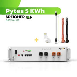 pytes Spezial-Akku LiFePO 4 48 V/DC 100 mAh 1 St.