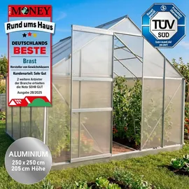 Brast Gewächshaus Aluminium Silber 6 mm 6,25 m2