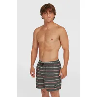 O'Neill Cali First 15'' Swimshorts Grau S