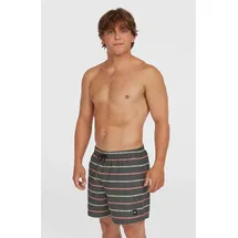 O'Neill Cali First 15'' Swimshorts Grau S
