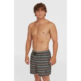 O'Neill Cali First 15'' Swimshorts Grau S