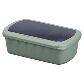 Fackelmann Lunchbox Flexibox Be The Move grün 1,0 l, 1 St.