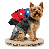 NATURE PET Premium Läufigkeitshose für Hündinnen – Hochwertige & Bequeme Hundewindeln für Hündinnen & Rüden – Waschbare Inkontinenz-Hundewindel ohne Einfädeln der Rute – XS/Grau
