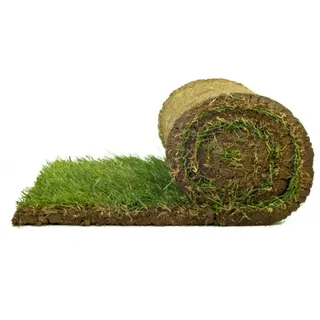 Premium-Rollrasen Bestellmenge 50 m2