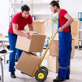 Relaxdays Sackkarrenrad schwarz-rot 2er Set