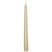 Wiedemann Kerzen Edelglanz Spitzkerze 240/24 mm 12 St. beige
