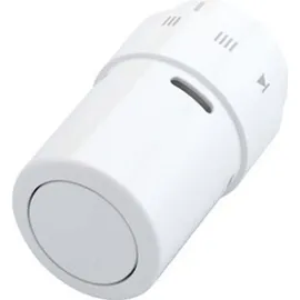 Danfoss RAX Heizkörperthermostat mechanisch 8 bis 28 °C