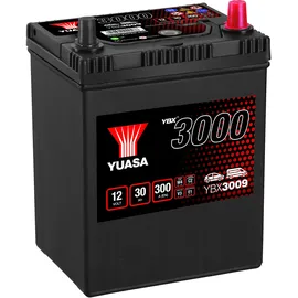 YUASA YBX3000 30Ah 12V