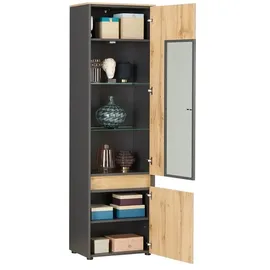 Möbel Kraft Vitrine Light Line 10 56 x 40 x 196 cm Holzfarben