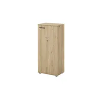 BigBuy Schuhschrank SATOS (BHT 50x110x34 cm