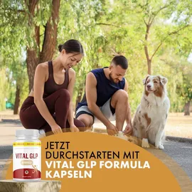 vitaglp VITAL GLP Formula Kapseln 90 St.