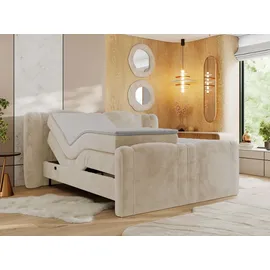 MKS Fortina 200 x 200 cm H4 Creme Plüsch