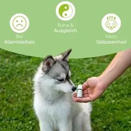 Wolfsbacher Natur Bachblüten Einsamkeit 10 g