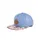 Blackskies Sakura Vol. II Snapback Cap Floral-Blau Einheitsgröße