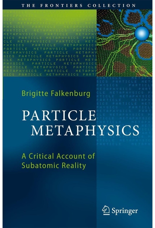 Particle Metaphysics - Brigitte Falkenburg  Gebunden