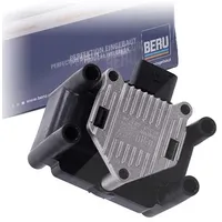 BERU ZSE003