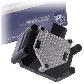 BERU ZSE003