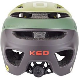 KED Pector ME-1 52-58 cm oliv 2021