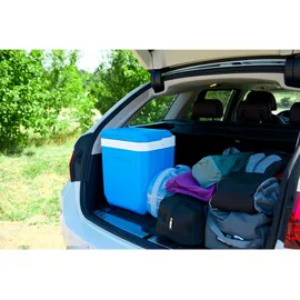 CAMPINGAZ Icetime Plus 26 l