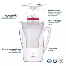 BWT AQUAlizer Home Weiß 1 Stück