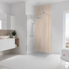 Schulte Duschrückwand Beige
