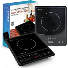 Esperanza EKH011 Schwarzer Induktionsherd