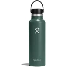 Hydro Flask Standard-Flex-Cap-Wasserflasche, Tannengrün, 600 ml