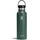 Hydro Flask Standard-Flex-Cap-Wasserflasche, Tannengrün, 600 ml