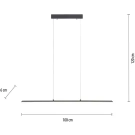 neuhaus pure LED-Pendelleuchte Pure Lite Alu, Eisen, Stahl & Metall Grau Anthrazit 100 cm